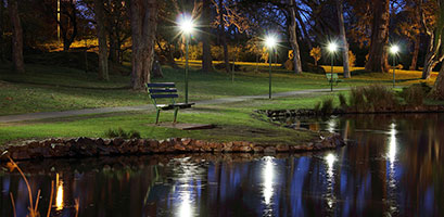 Landscape Lights Pond Lighting