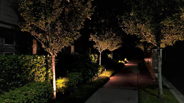 landscape lighting ideas walkways
