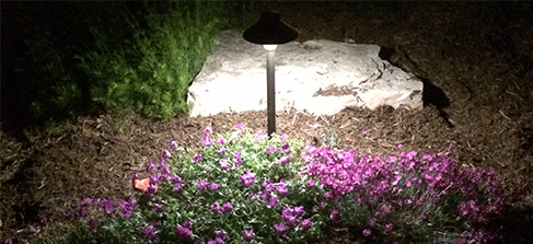 How To Install Outdoor Path Lighting