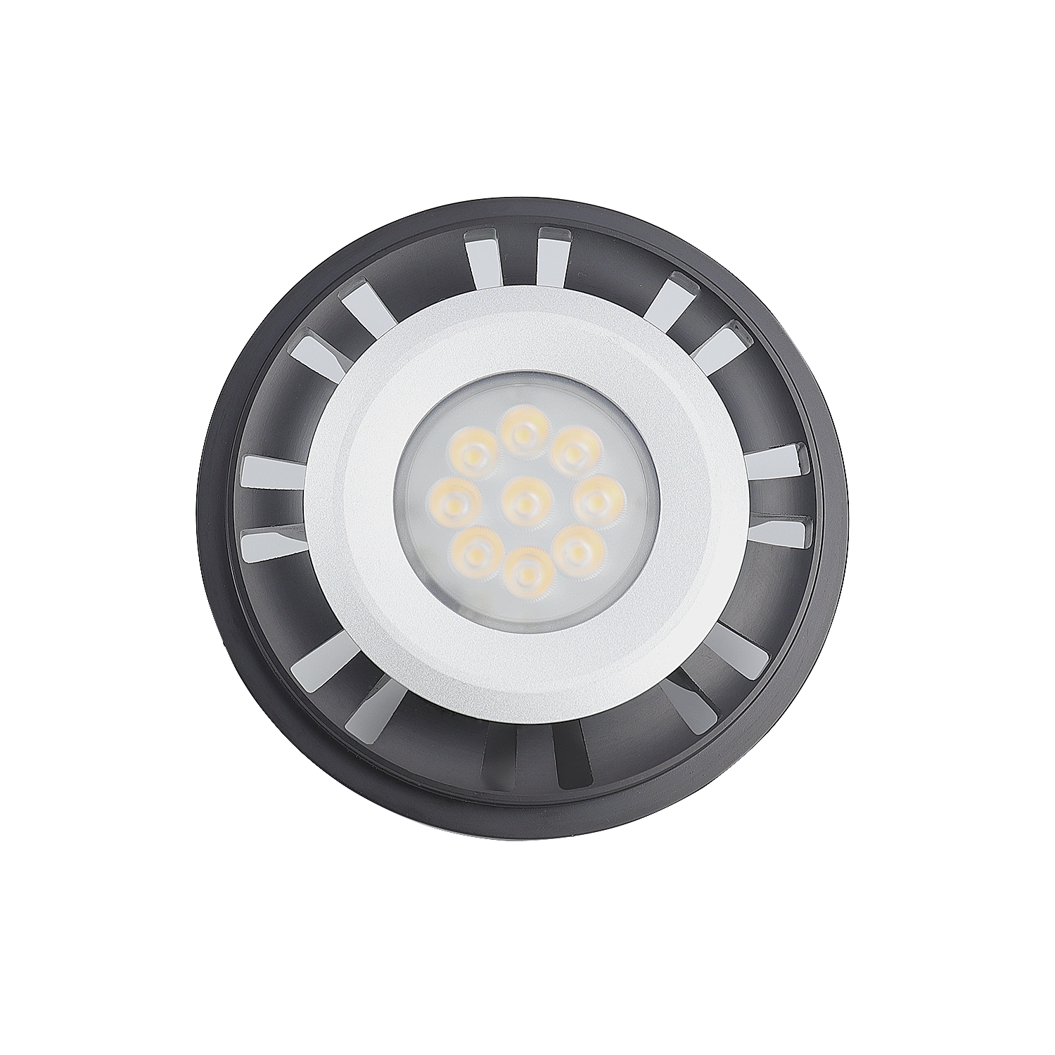 LT1036A Standard PAR36 Low voltage LED Lamp